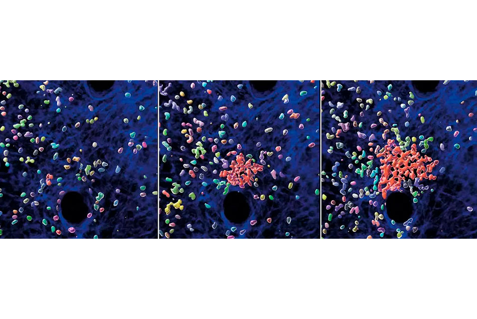 artdaily's tweet image. ArtDaily recommends: 
Start-stop system of hunting immune cells #startstopsystem #immunecells #research #newspaper

Read more about this here: ow.ly/abFN50FdJNy