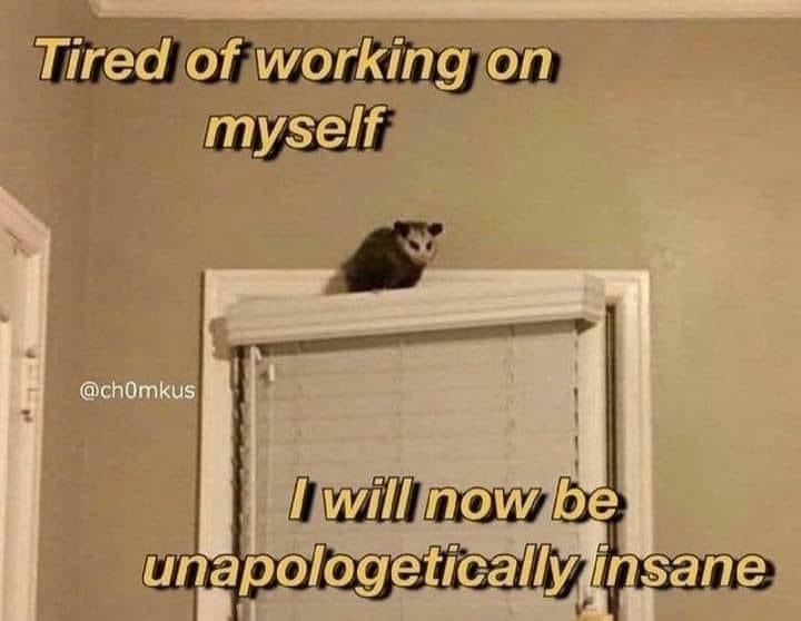 mightbecursed's tweet photo. https://t.co/fiJtOHpnjy