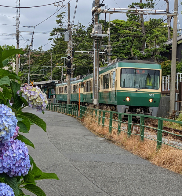江ノ電１日乗車券のりおりくん引換券 と 新江ノ島水族館入場券 のセット券が発売再開になりました 全国のセブンイレブン ロー 21 06 19 片瀬江ノ島の観光 宿泊 新江ノ島水族館 ふじさわびと