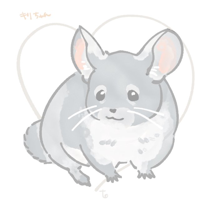 チンチラのtwitterイラスト検索結果
