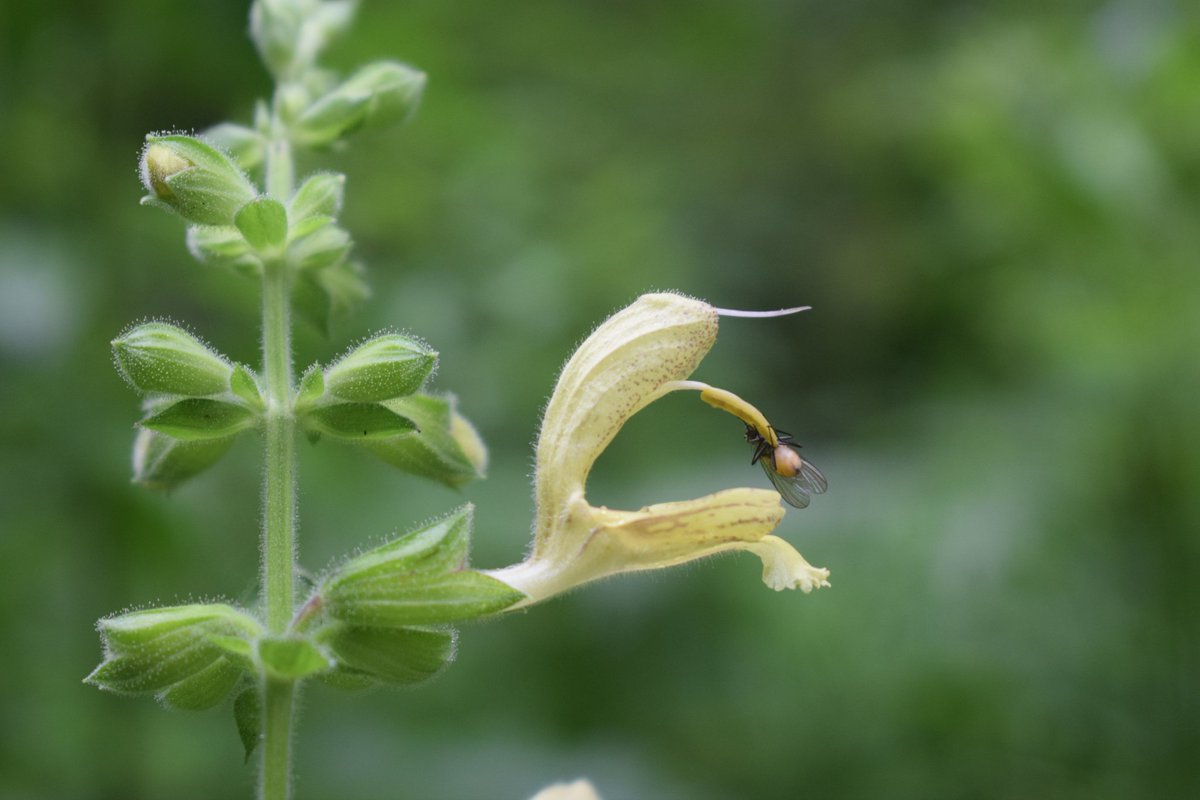 SamuelMarent's tweet image. You can also find me on Instagram instagram.com/samuelmaren2