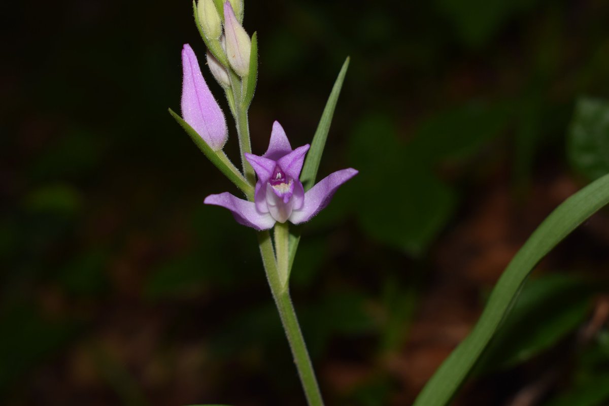 SamuelMarent's tweet image. You can also find me on Instagram instagram.com/samuelmaren2