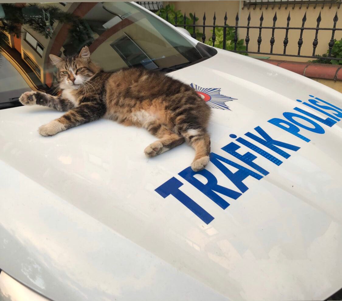 Keyifler yerinde...😉