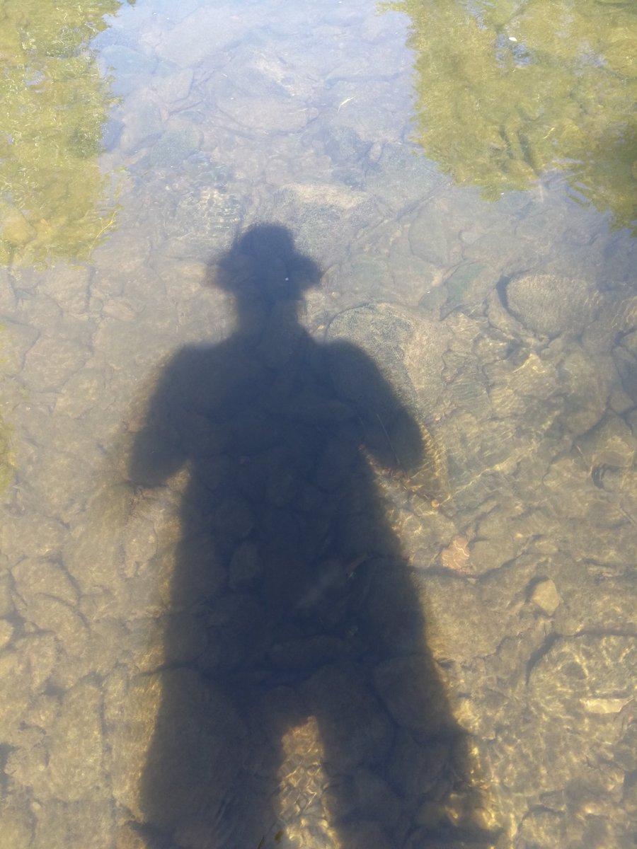 KarMFischer's tweet photo. So lässt es sich aushalten 🌞🌊 #Hitze #LSF50 https://t.co/Zw1a9wKJMo