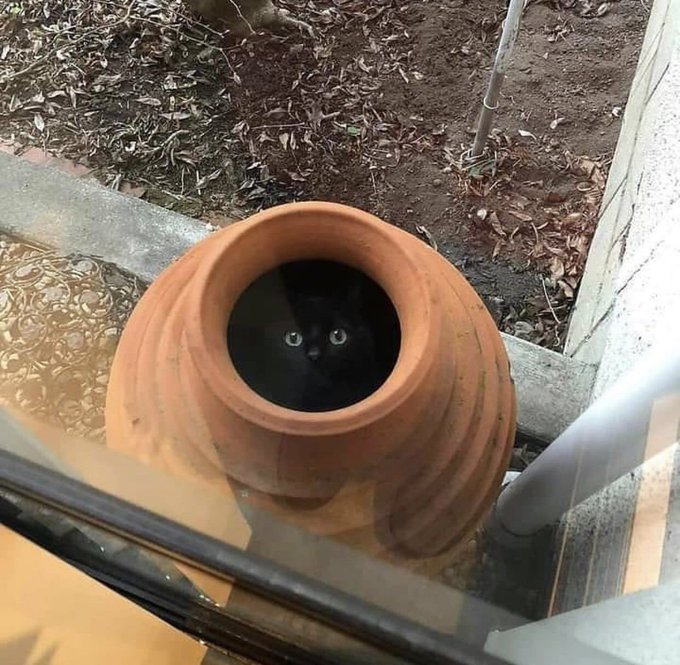 深淵をのぞく時 深淵もまたこちらをのぞいているのだ