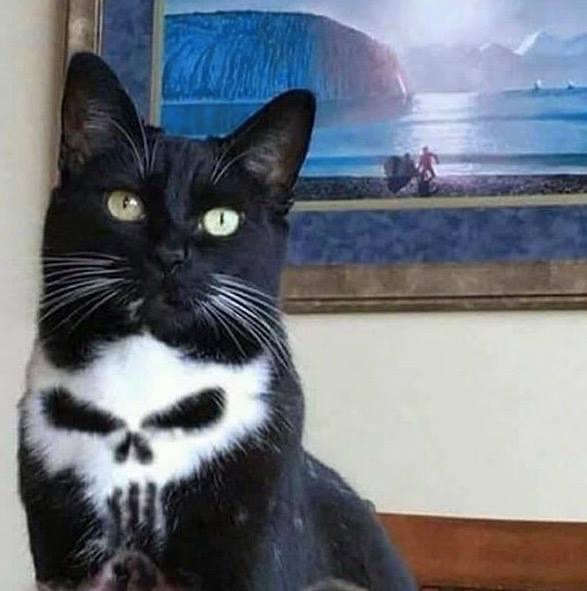 E4OCDDsXEAA8hJW?format=jpg&name=small