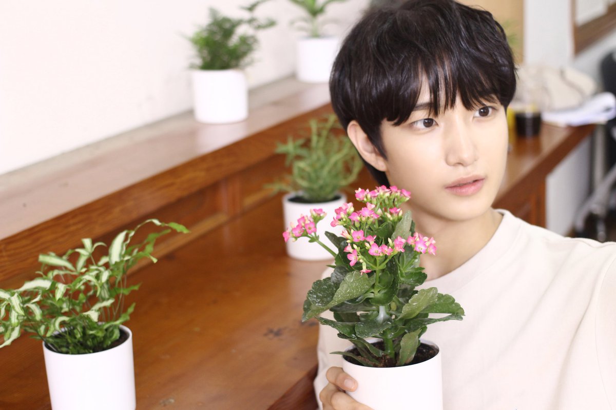 NewkiddMexico's tweet photo. 210618 [INSTAGRAM]

Woochul de Newkidd
Corte detrás de escenas 'BioHomme'

https://t.co/MmleVfwyQ7
https://t.co/hCPqhzgaOS

#Newkidd #뉴키드 #Woochul #우철 #바이오옴므 #Biohomme #webdrama #웹드라마 https://t.co/XrqBjY1got