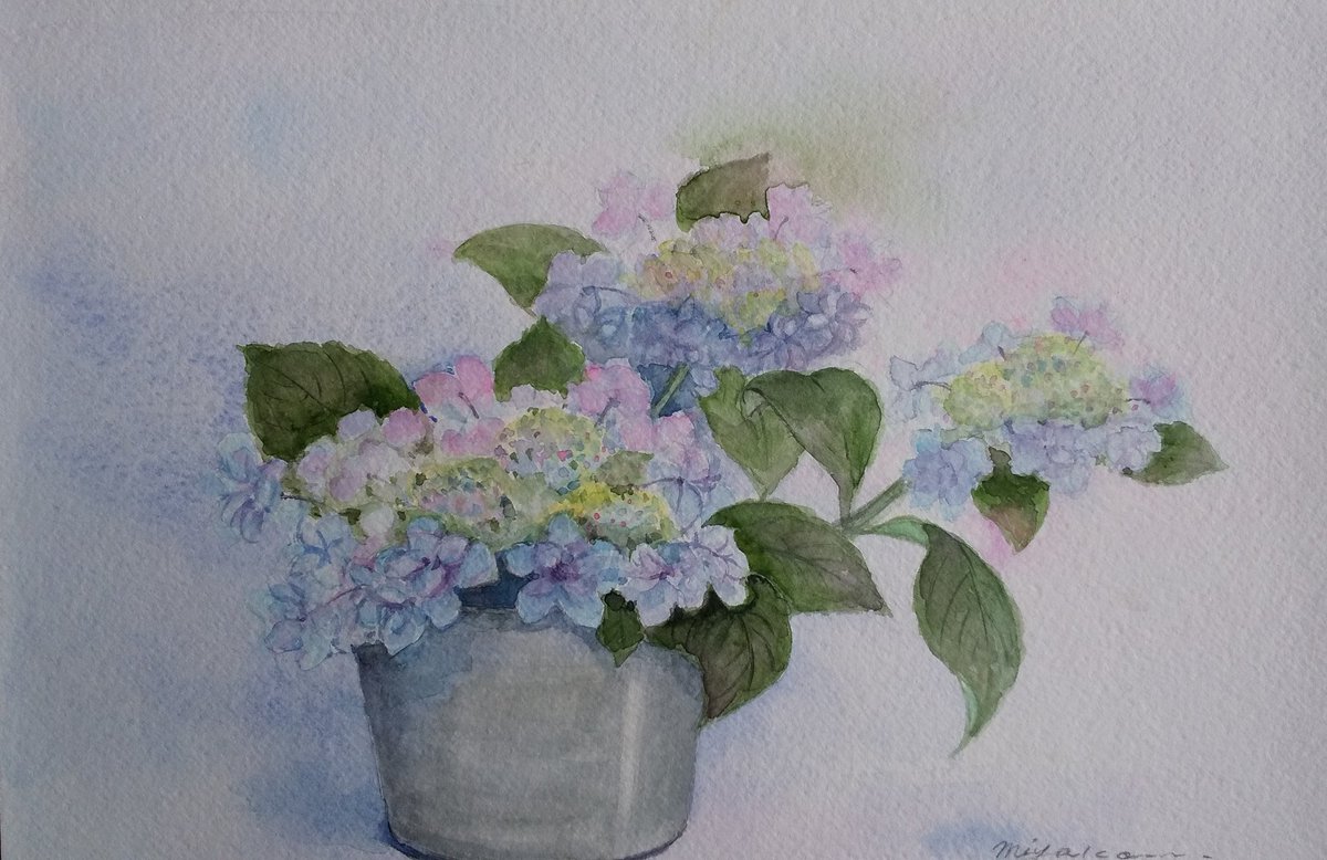 Twoucan あじさい の注目ツイート イラスト マンガ コスプレ モデル