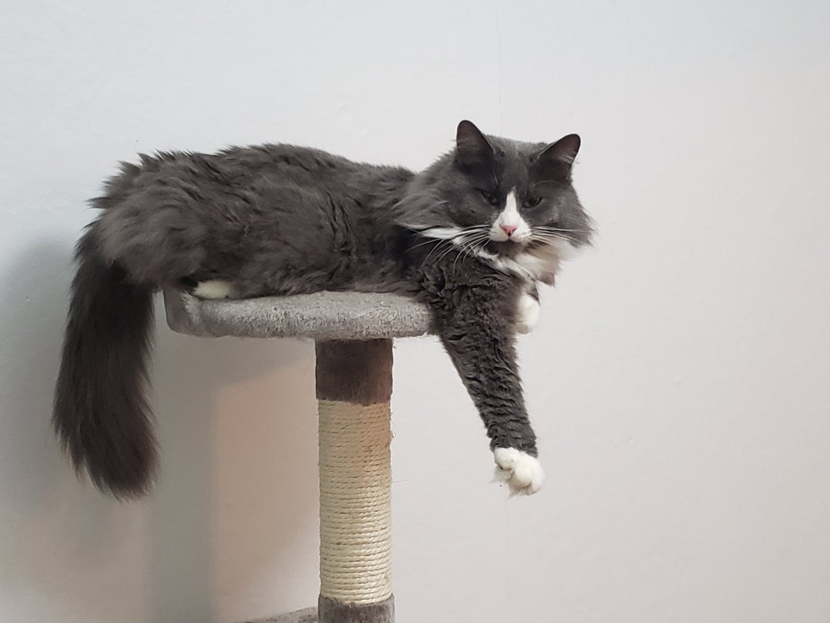 George Sears (on Bluesky) tweet media