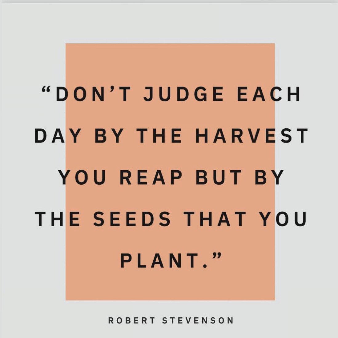 #KeepPlantingseeds #Truthseeker #Perception #RealHistory #5D #Eldoublee #Seeds #TruthAndReconciliation #CognitiveDissonance #DoWhatYouCanDo