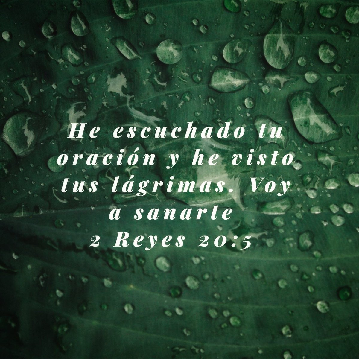 Davidoguie's tweet photo. @YouVersion https://t.co/zmkicDlrUo
