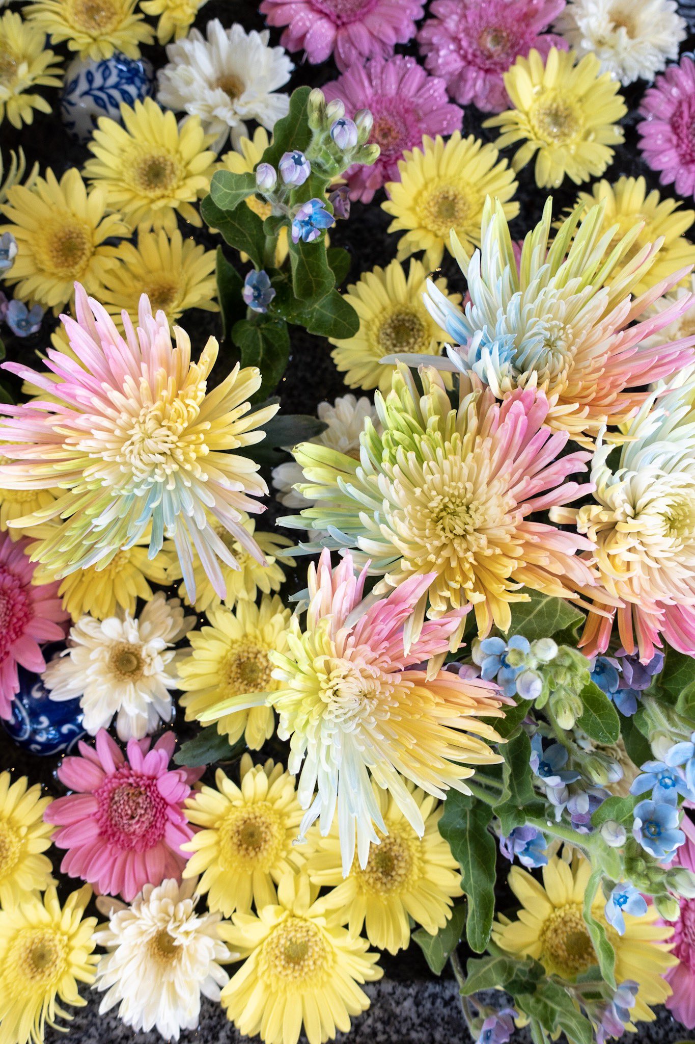 現人神社 花手水のお花入れ替えました 皆さまのご参拝心よりお待ちしております 現人神社への交通アクセス 博多駅から博多南駅 那珂川市 まで８分 博多南駅からバス タクシーで１０分 福岡空港から地下鉄博多駅まで６分