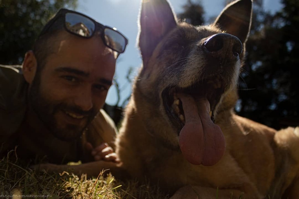 weneflei14's tweet photo. Somos putas almas gemelas ♥️
#soysietevecesmasperroquetu #laguaurderia #mimanadaesadoptada #miperroesadoptado #adoptanocompres #mestizo #malinoismix #germanshepherdmix #maliman #seniordog #hikingdogs #gossosdecatalunya #dogsofcatalonia #instadog #dogoftheday #dogofinstagram… https://t.co/Sbmc9J0lr2