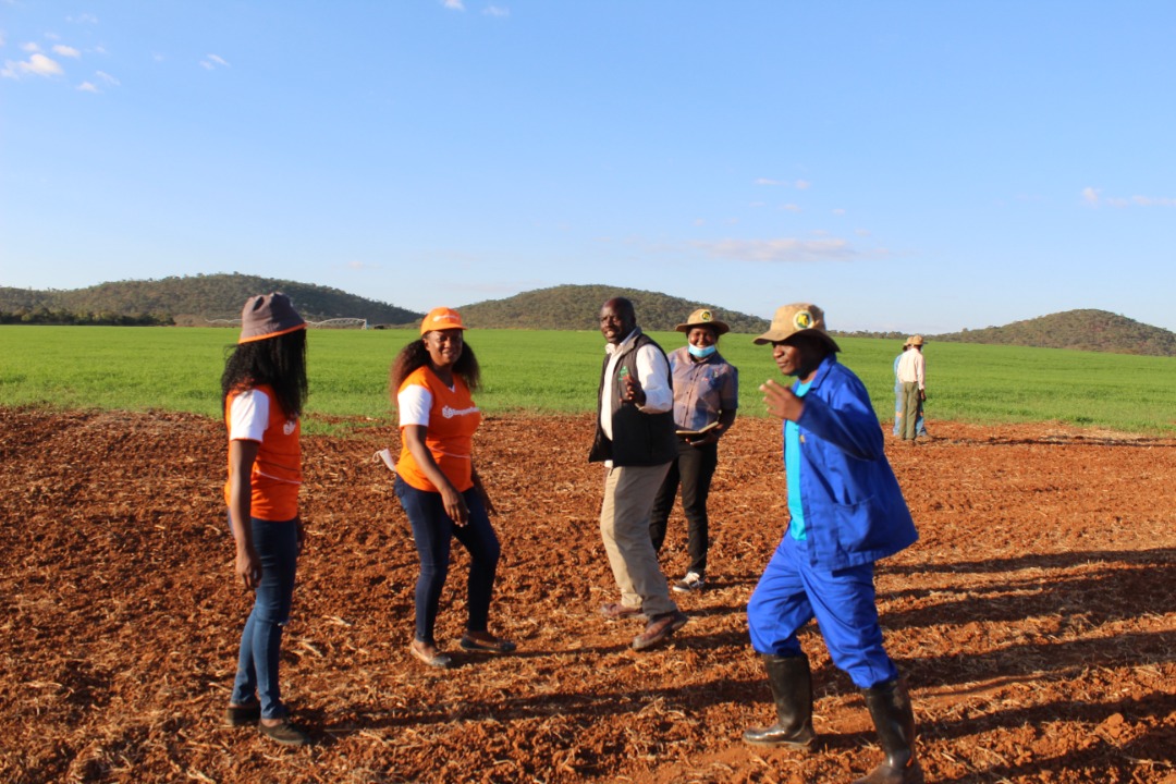 the profiling team at work <a href="/APA_Agriculture/">APA Agriculture</a> <a href="/bank_empower/">EmpowerBank</a> @SeedCoGroup <a href="/ZANU_PF_YL/">ZANU PF Youth League</a> <a href="/mdczimbabwe/">Who voted for you☝️</a>