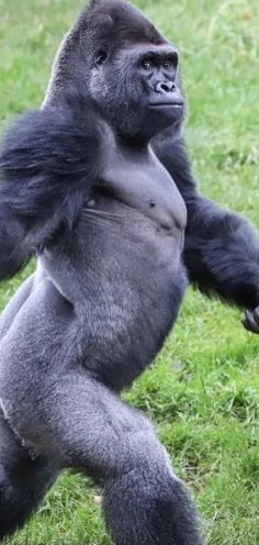 #مشهور_يتعري_ويتفاخر_بديده
ارضعي وانا امك يععععععع