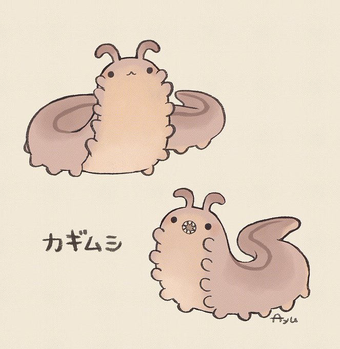 カギムシ 