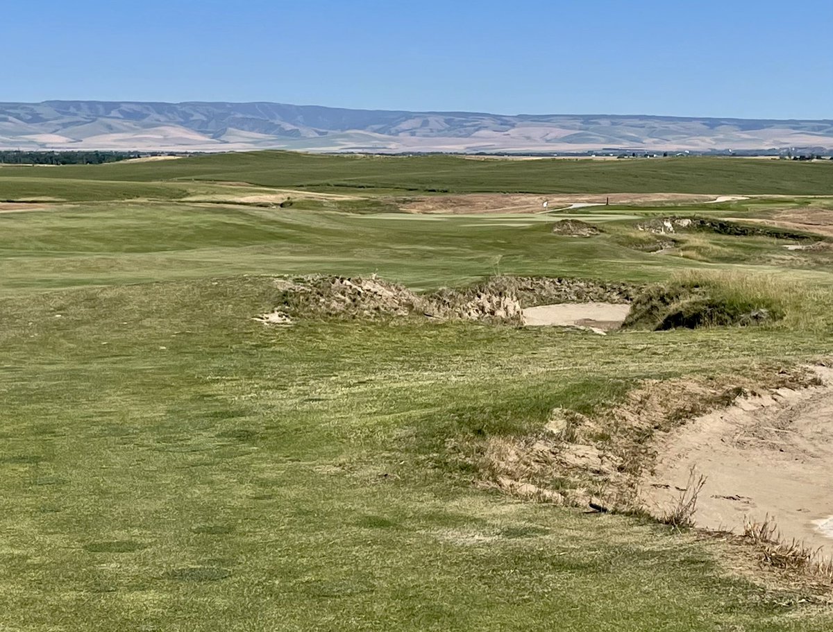 walkinggolferOG's tweet photo. Round 1 @WineValleyGC in Walla Walla. Early verdict = fun course. Plenty of width, opps to score well but big numbers lurking off the beaten path and green movement keeps you on your toes. Enjoyed the walk despite 90* temps! #dryheat #stripedit https://t.co/bPLCNYWQ7y