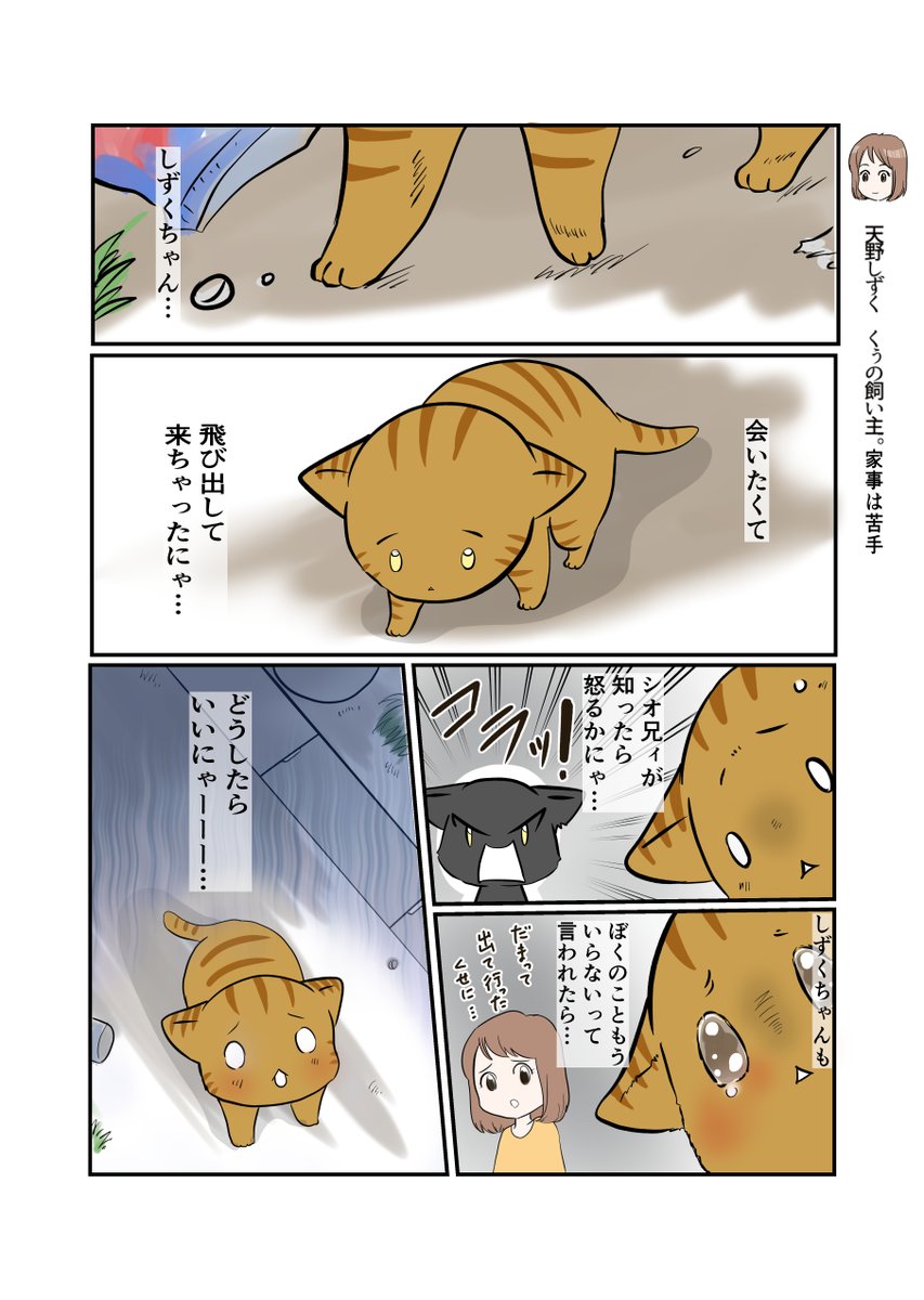 #スパダリにゃんこ 
#くぅの日常 第81話 
会いたくて

元スーパーダーリンにゃんこのくぅと飼い主しずくの物語。

スパダリをやめたくぅ。シオ兄貴の紹介でタカさんのもとで暮らしていたが、ある日…。

#創作マンガ #マンガが読めるハッシュタグ 