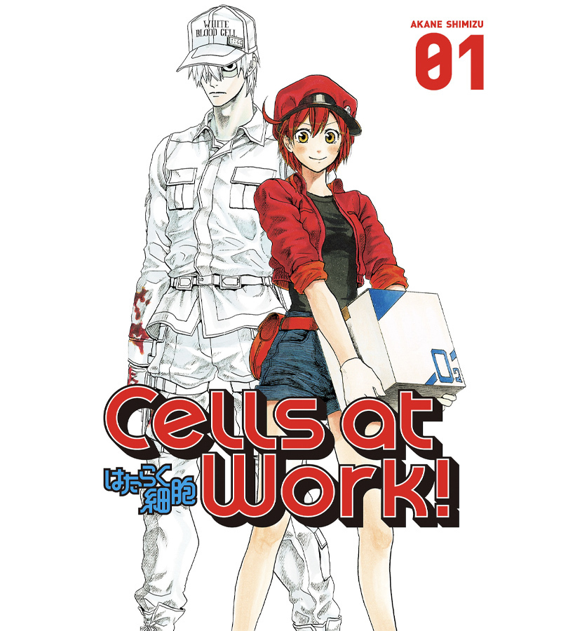 Assistir Hataraku Saibou 2 (Cells at Work!) - Todos os Episódios