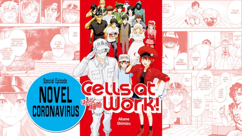 Assistir Hataraku Saibou 2 (Cells at Work!) - Todos os Episódios