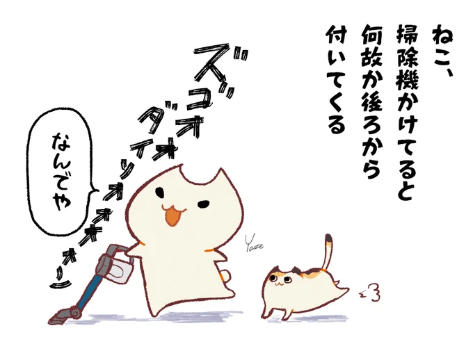 今日の我が家の猫 