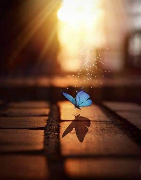 "ثم خفف الله على الإنسان..
فأودع فيه قوة التخيل؛ يستريح إليها من الحقائق."

- الرافعي