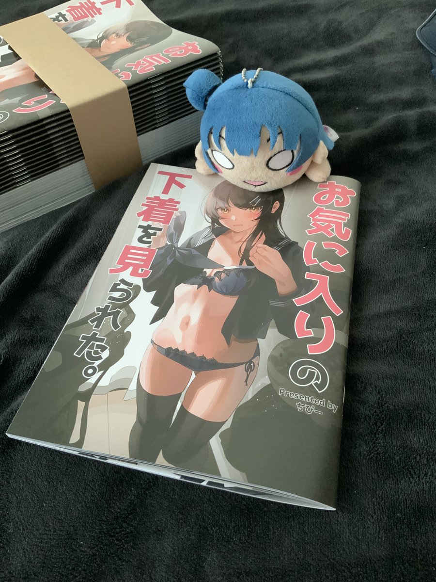 新刊綺麗に印刷されてました~グラフィックさんありがとうございます! 