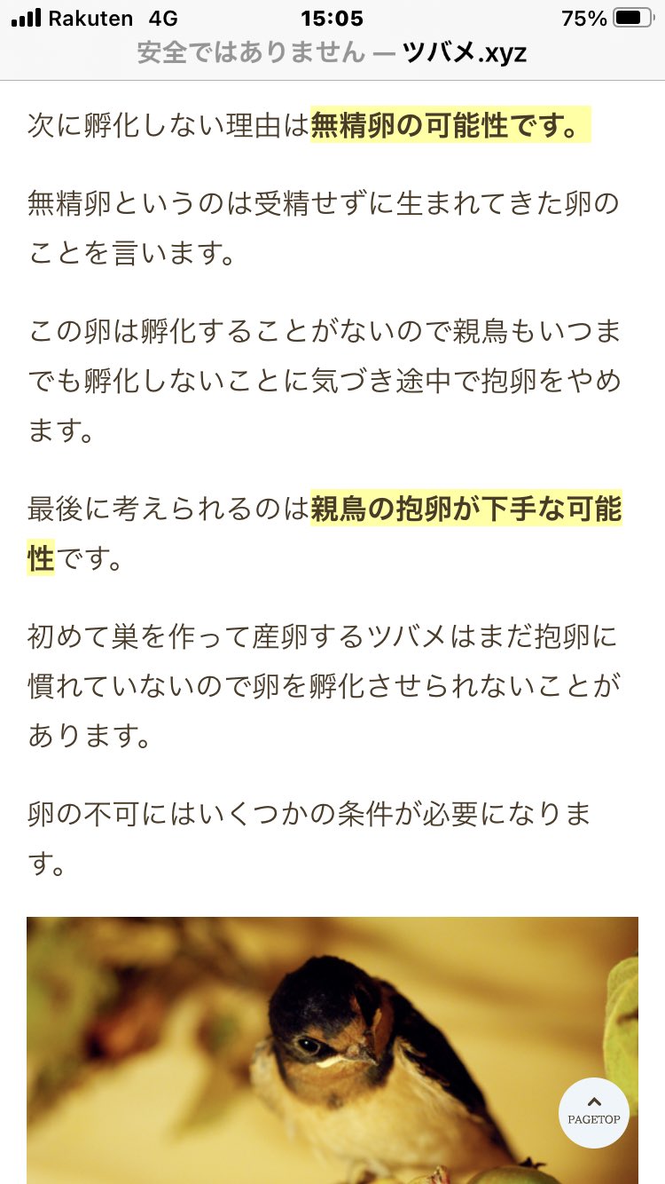 ツバメロス Twitter Search Twitter