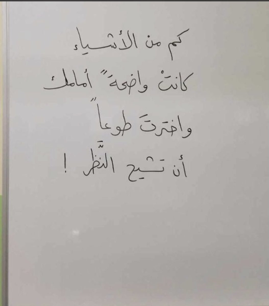 مقولة اليوم