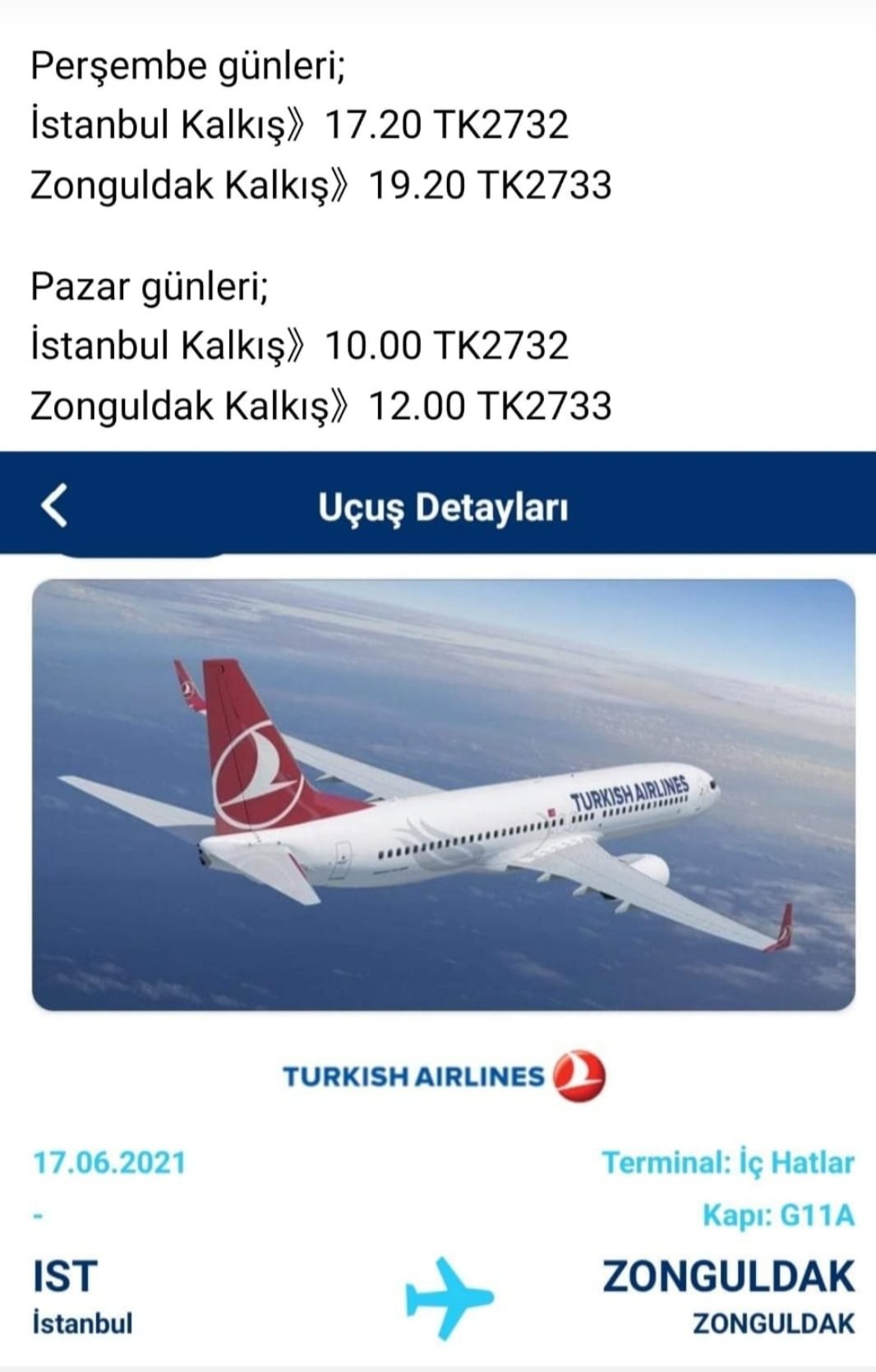 sonay sonayhalici twitter