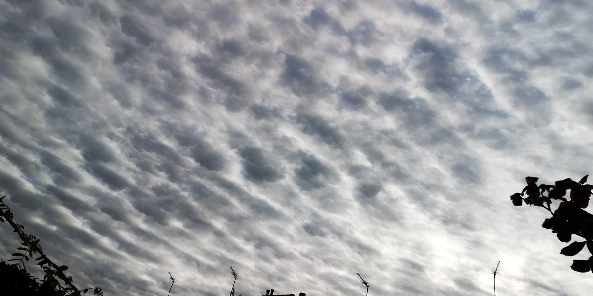 ShowMeTheSky1's tweet photo. #19Junio Zona Este de #Madrid 8:30 AM Cielo Nublado Cielo Lechoso Nubes de Evolución #NubesNaturales #WiFi CristalesDeHielo VaporDeAgua GeoIngenieria HAARP NexRad SRM #ManipulaciónClimática Mira Al Cielo Mira Hacia Arriba. No te pedimos que pienses como nosotr@s, solo que pienses https://t.co/dYyC08rWRD