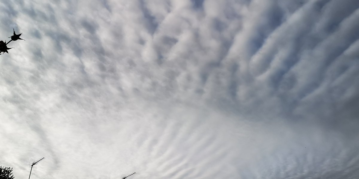 ShowMeTheSky1's tweet photo. #19Junio Zona Este de #Madrid 8:30 AM Cielo Nublado Cielo Lechoso Nubes de Evolución #NubesNaturales #WiFi CristalesDeHielo VaporDeAgua GeoIngenieria HAARP NexRad SRM #ManipulaciónClimática Mira Al Cielo Mira Hacia Arriba. No te pedimos que pienses como nosotr@s, solo que pienses https://t.co/dYyC08rWRD