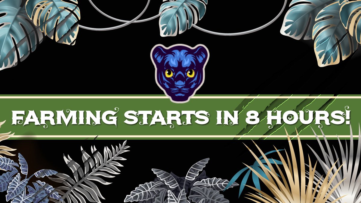 Panther Cub Finance #BSC tweet media