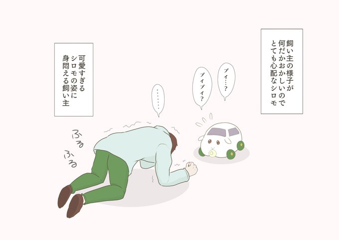 ベビモルカーになったシロモ 