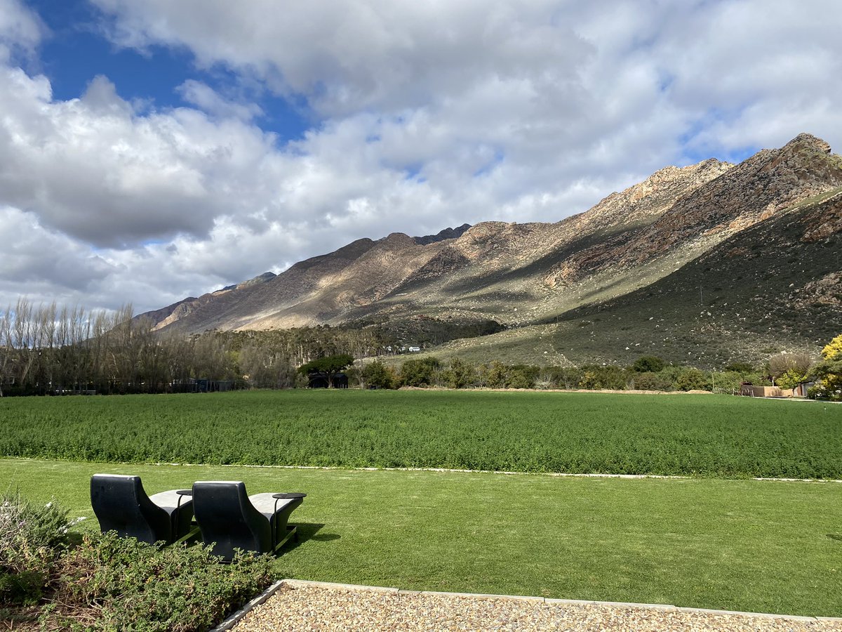 Allison Foat (like a butterfly) tweet media