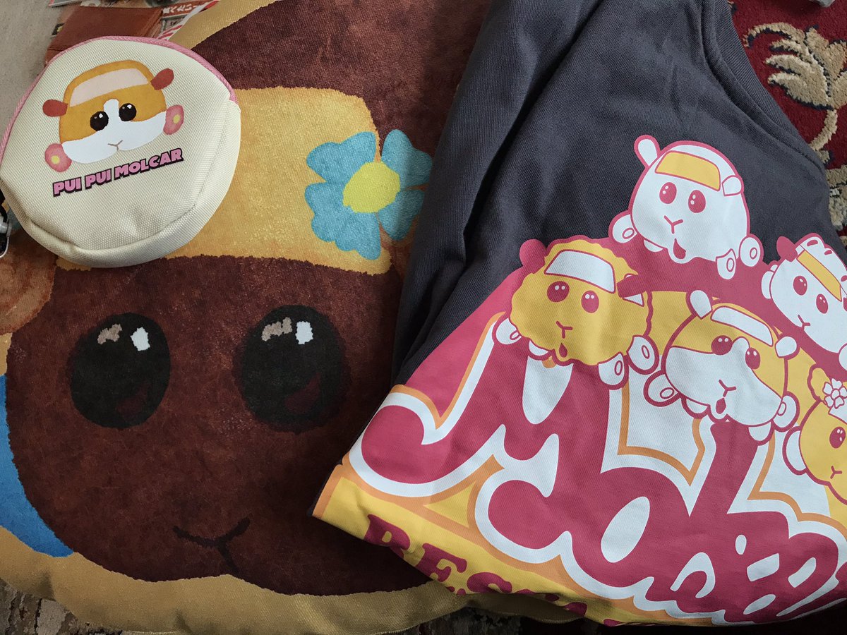 ちづる V Twitter モルカー目当てにしまむらに 田舎だからワンチャンあるかなって思ってたけど最後のクッション チョコ 見つけて買っちゃった クッション以外のtシャツとかポーチとかまだ選べる程度に残っていたけど モルカー目当てっぽい人がちらほら買いに来て