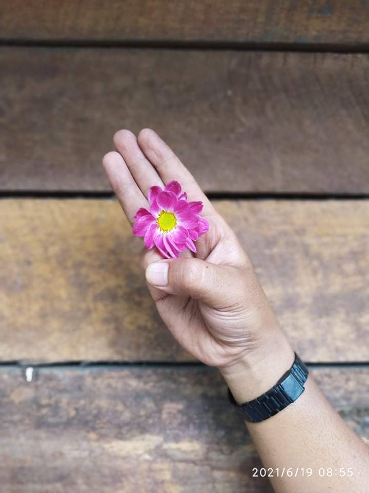 A Flower Strike in the jungle of young people training to resist the coup. 
FREEDOM FROM FEAR

#76FlowerStrike
#June19Coup
#WhatsHappeningInMyanmar