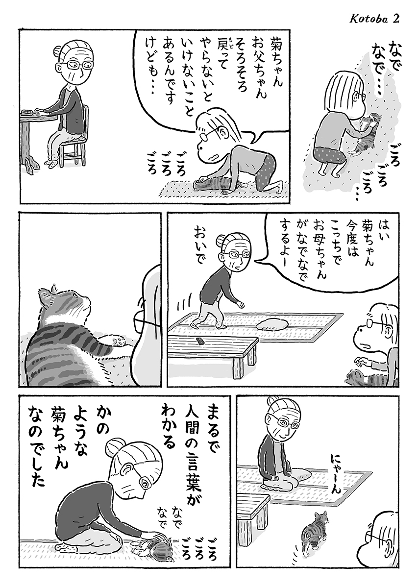 2ページ猫漫画「言葉わかるかのよう」 #猫の菊ちゃん 