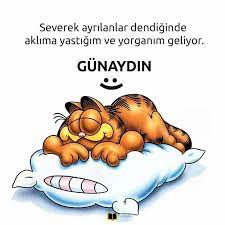 Gökhan Demir 🏳️‍🌈 🌈 🏳️‍🌈 (@lgbtgokhan) on Twitter photo 