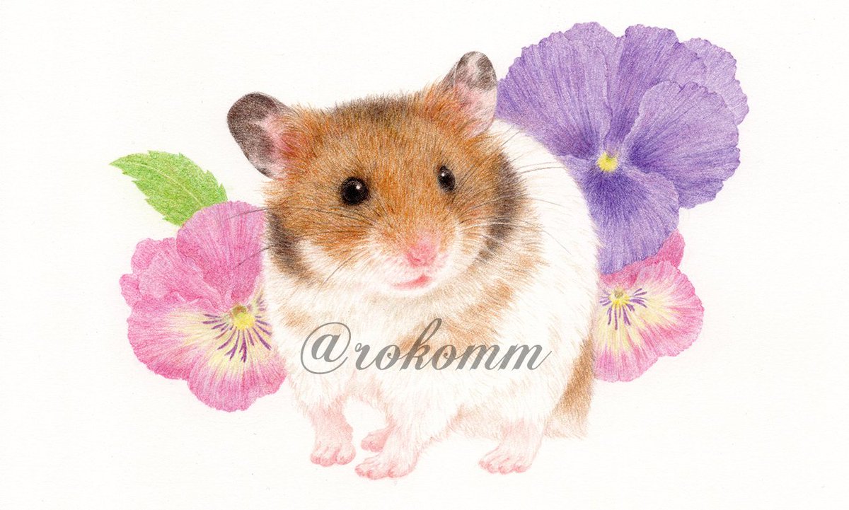 Twoucan ハムスター の注目ツイート イラスト マンガ コスプレ モデル