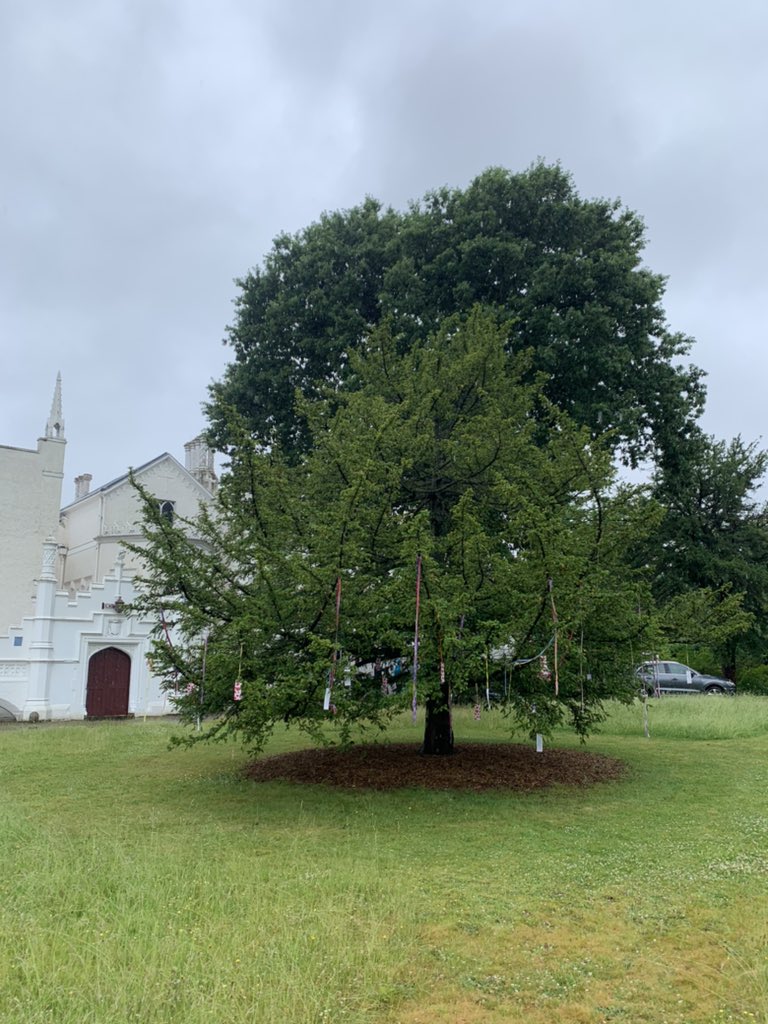 London Tourism Cooperative tweet media