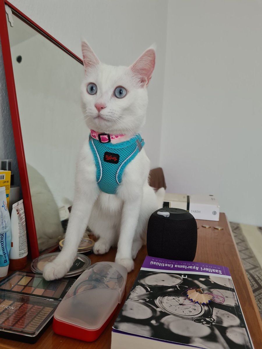 Moda ikonları nasıl mı giyinsin işte bele