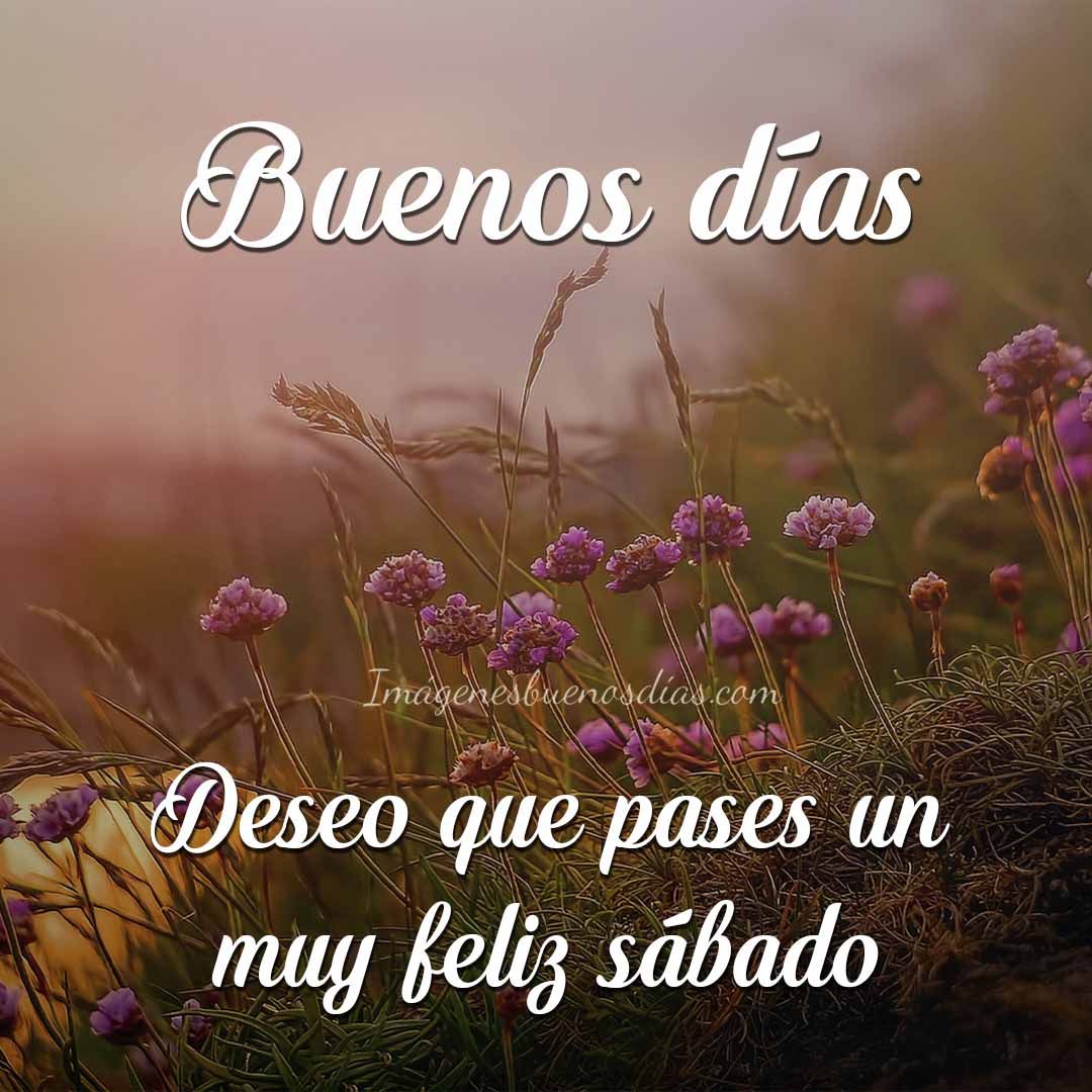Nieves13Mari's tweet photo. @Natifdzsan buenos días preciosa 🍓🥰🥰❤❤ https://t.co/p2vVqITsAX