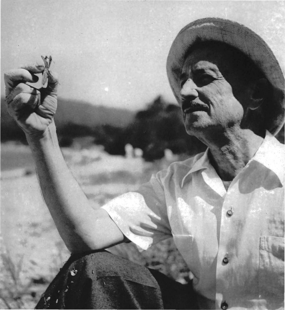 aasiain's tweet photo. Inicio, en defensa y apoyo de la tenaz campaña mangacortista de @montano66, un hilo de fotos de escritores en mangas cortas. Empezamos con el supremamente elegante Saint-John Perse, poeta mayor de estos siglos y eminencia gris de la diplomacia francesa en una época decisiva. https://t.co/2spD9emoVg