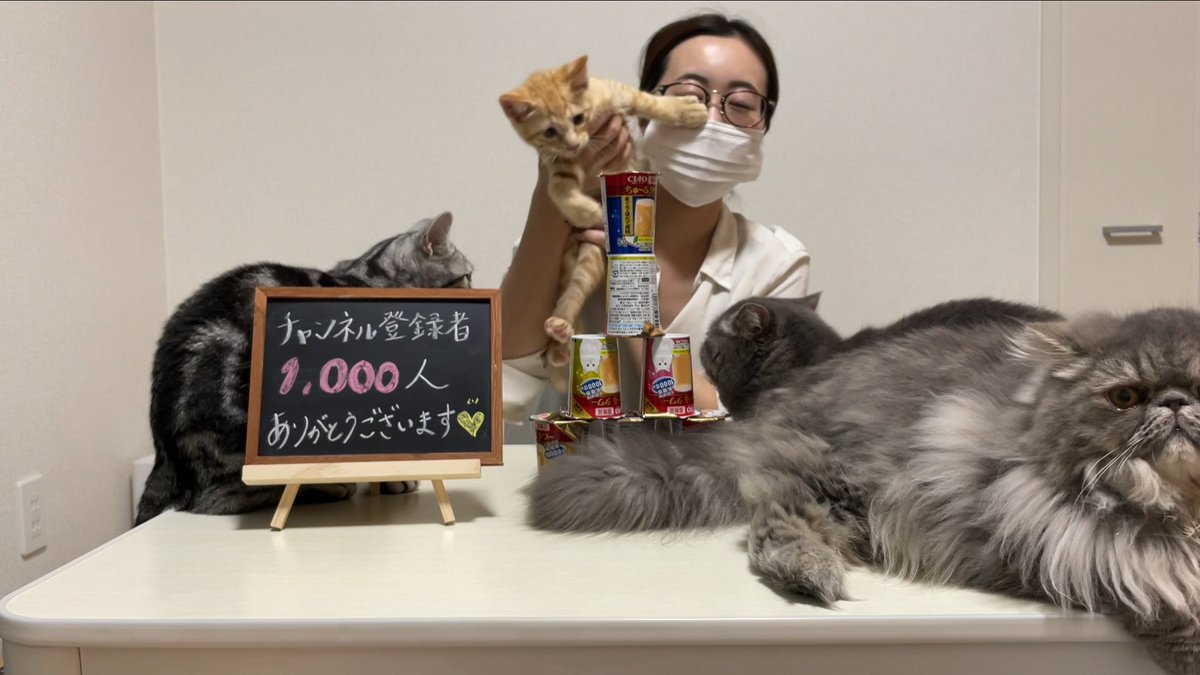 吾輩は猫ニートである。 on X: 吾輩は猫ニートである。 on X: