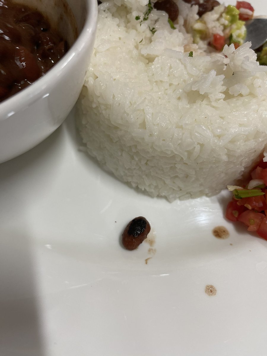 Robert ALAI, HSC tweet media