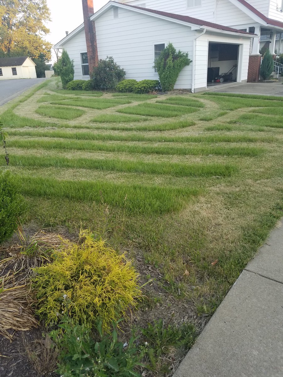 ViryaE's tweet photo. Kill your environment or get fined. How about halfway? #UrbanAnarchy https://t.co/HI0ccOqix6