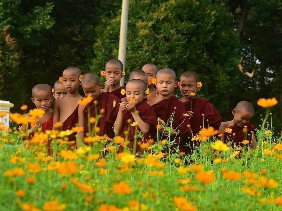 Nick97023782's tweet photo. “ကိုယ်ရင်လေးတွေရဲ့ ပန်းသပိတ်”
ဇွန်လ ၁၉၊၂၀၂၁။
🌺🌸🌼🌻🌷🌹💐💝
#76FlowerStrike 
#WhatsHappeningInMyanmar https://t.co/4Df8r1cYmF
