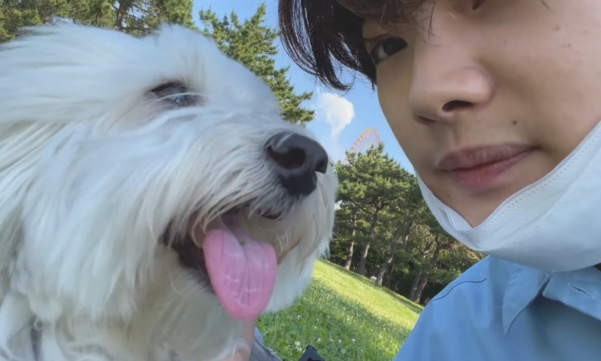 noaslay's tweet photo. noa and laffy are the cutest🥺🥺 especially when they're together...
#NOA #NOALOG #noana @noamusic_japan https://t.co/ZLKQAKxAg7