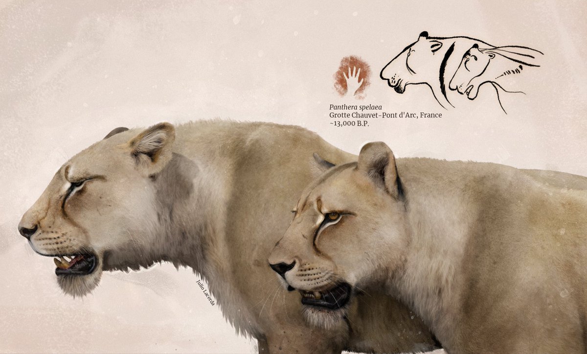 Julio the Artist 🦕🌿 (@juliotheartist) on Twitter photo 